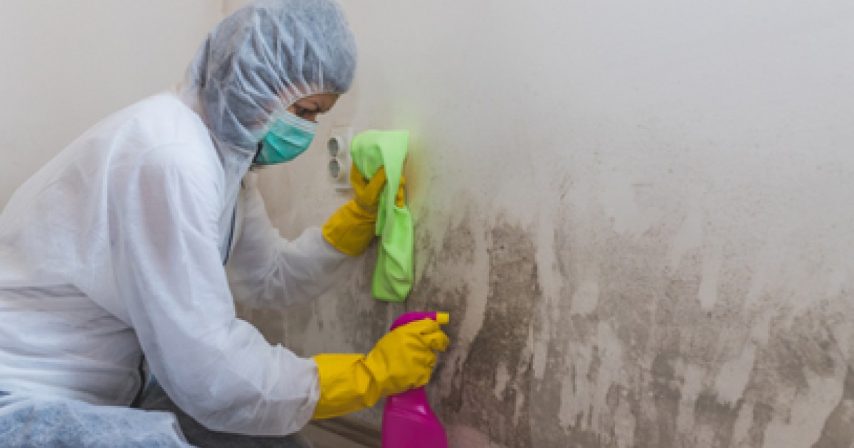 Comment enlever la moisissure sur les murs? Paris Smart Clean