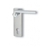 Paire de poignées avec plaque Ghidini Descartes Q OCL-M4 / F1