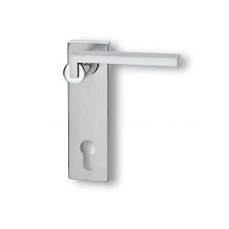 Paire de poignées avec plaque Ghidini Descartes Q OCL-M4 / F1