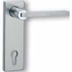 Paire de poignées avec plaque Ghidini Descartes Q OCL-M4 / F1