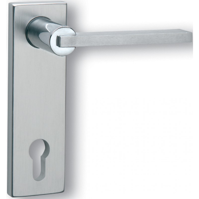 Paire de poignées avec plaque Ghidini Descartes Q OCL-M4 / F1