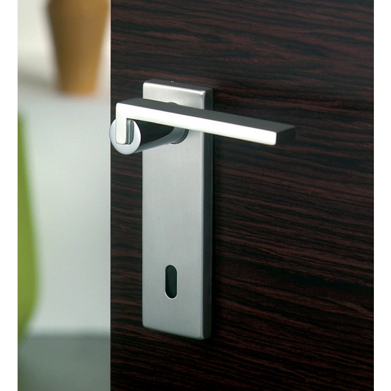 Paire de poignées avec plaque Ghidini Galileo Q OCL-M4 / F1