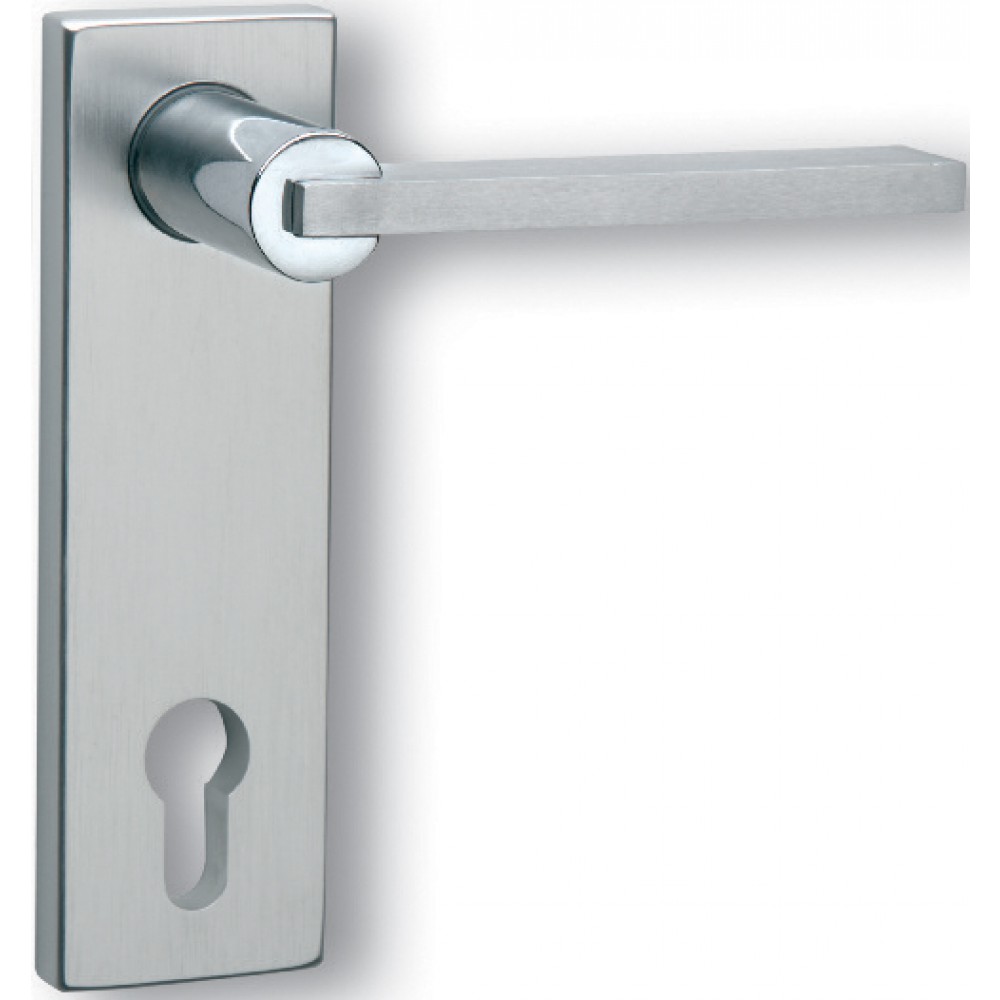 Paire de poignées avec plaque Ghidini Galileo Q OCL-M4 / F1