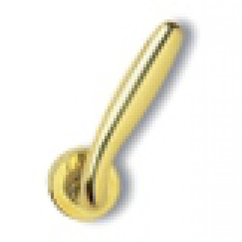 Paire de poignées Ghidini modèle Comet OLV M1 Rosette et évents