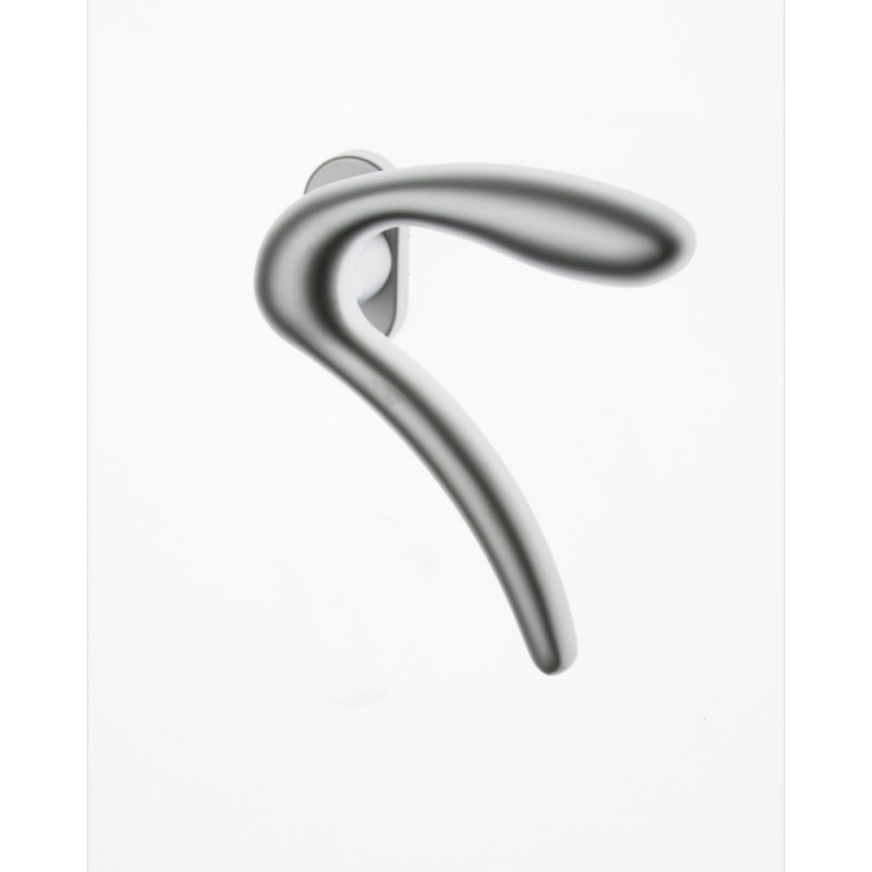 Paire de poignées Ghidini Modèle Leonardo Rosette et ACP vents Cylindre