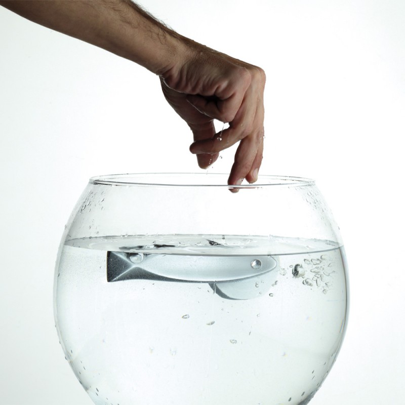 Fish Crystal Poignée sur la Plaque pour Porte Linea Calì Crystal