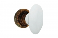 Flavia 685 RO 102 Bouton de Porte Linea Calì en Laiton Vieilli avec Poignée en Porcelaine Blanche