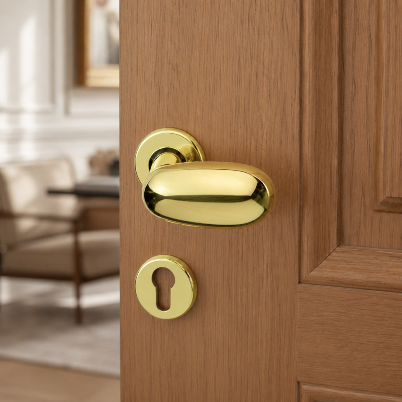 Idra Arieni Paire de Boutons de Porte Tournants Laiton Rosaces Ø45 mm