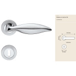 Poignée Linea Calì Delfino pour Porte Classique en Laiton avec Rosace