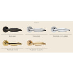 Poignée Linea Calì Delfino pour Porte Classique en Laiton avec Rosace