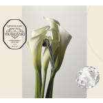 Poignée Spirit Mesh Linea Calì avec Bande de Cristal Swarovski