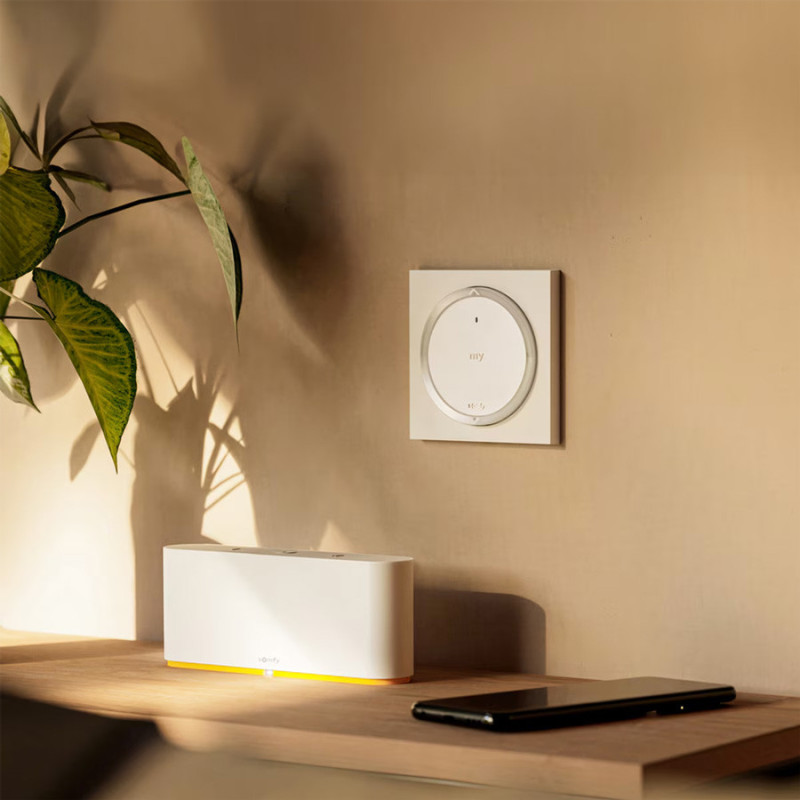 Somfy Amy io Télécommande Murale Radio avec Cadre Carré ou Rond